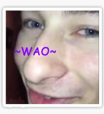 Wow Vine Sticker