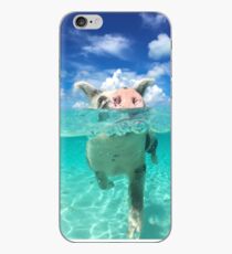 Cute Swimming Pigs in Bahamas iPhone Case