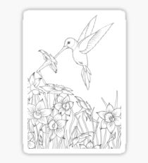 Colibri Sticker