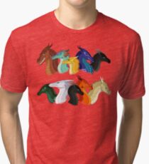 Wings of Fire - POV Characters Tri-blend T-Shirt