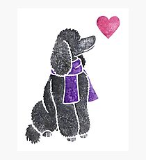 Watercolour Poodle Photographic Print
