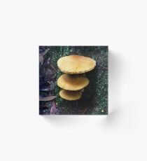1736 The stack Acrylic Block