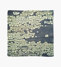 Crust Fungus Scarf