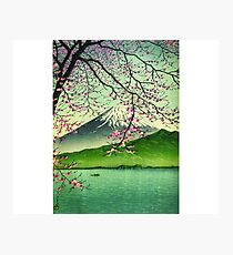 Mount Fuji & Cherry Blossoms Photographic Print