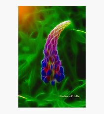 LUPIN Photographic Print