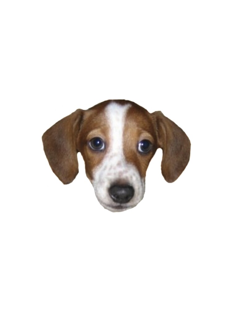Frankerz