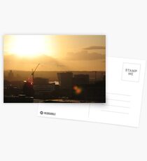 Golden Glow Postcards
