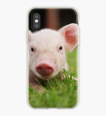 Little Baby Piglet Pig iPhone Case