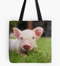 Kleines Baby Ferkel Schwein Tote Bag