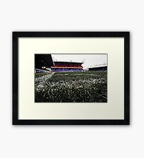 Grass Roots Are Forever Green Framed Print