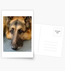 Sweet Honey Postcards