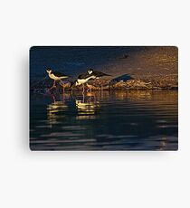 Stilts Canvas Print
