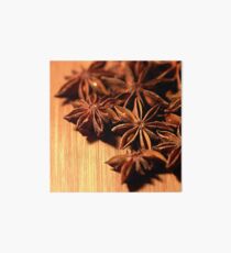 Star Anise Art Board