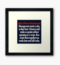 Agile Software Development Framed Print