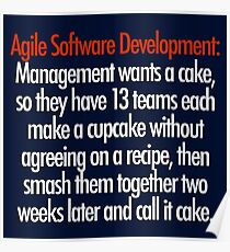 Agile Software Development Poster
