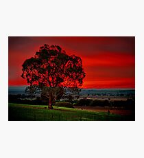 "The Warning" Photographic Print