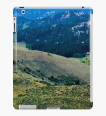 Landscape 7 iPad Case/Skin