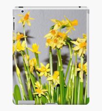 Daffodils iPad Case/Skin