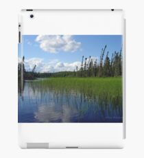 Mirror Mirror iPad Case/Skin