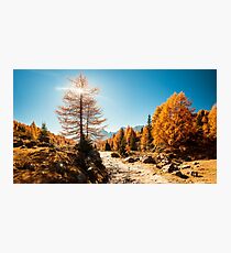 Lámina fotográfica Trekking otoñal en el valle alpino de Pusteria