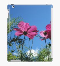 Hoch schauen iPad-Hülle & Klebefolie