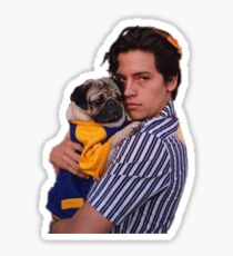 Cole Sprouse Sticker