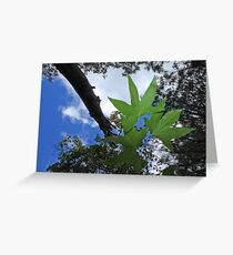 Dancing Leaves Greeting Card