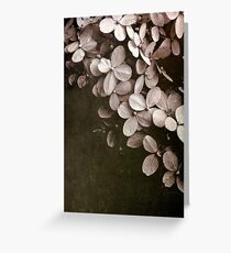 hydrangea Greeting Card
