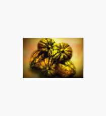 Melon mound Art Board
