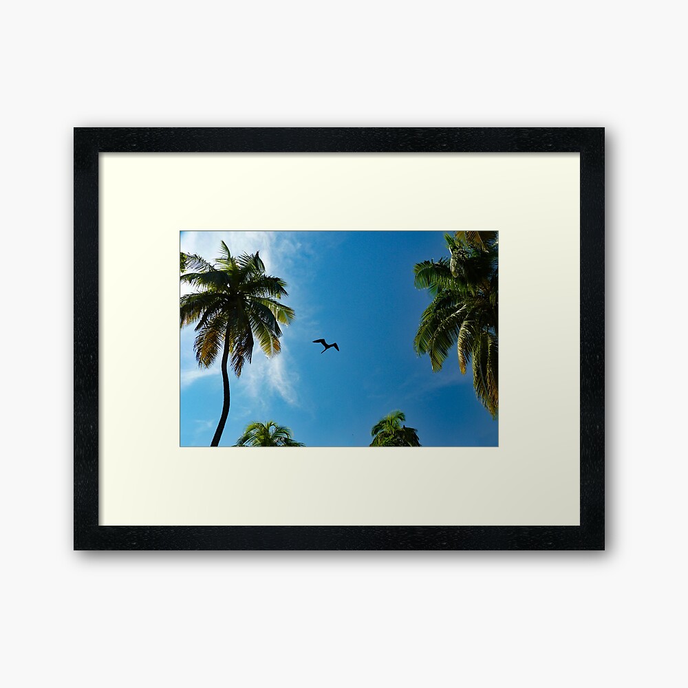 Soaring Cormorant Framed Art Print