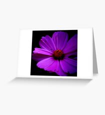 Tint Greeting Card