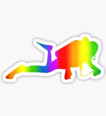 Colorful Diving Rainbow Sticker Sticker