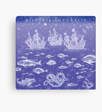 Natural History II in Blue | CreateArtHistory Canvas Print