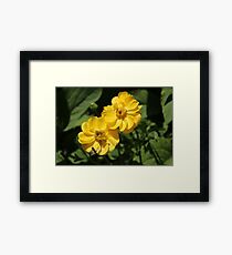 Busy Bee on Yellow Flower Framed Print
