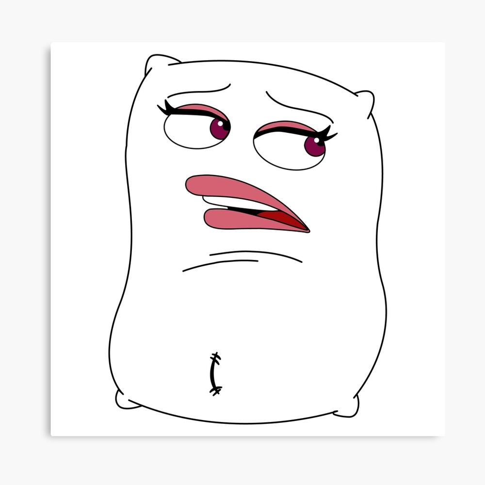 "Big Mouth Jay's Pillow" Canvas Print by ShayMcG Redbubble