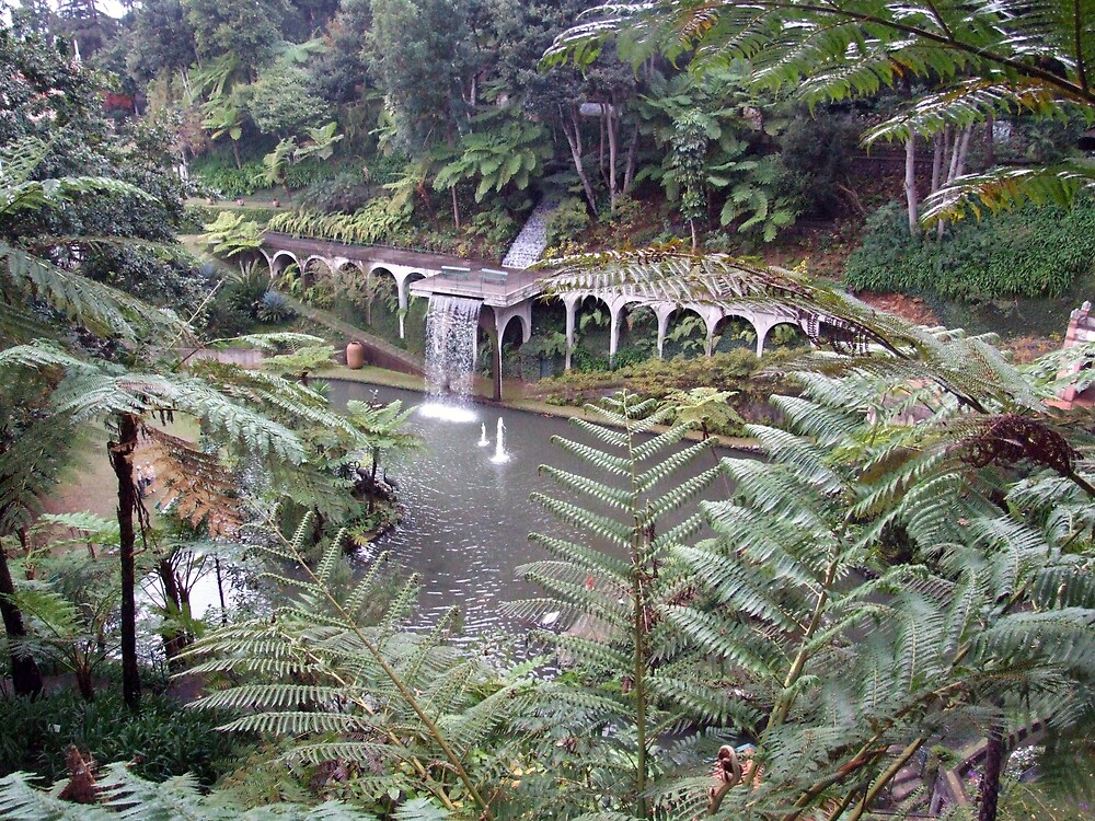 "National park in Madeira" by John Quinn Redbubble