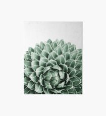 Succulent splendour Art Board