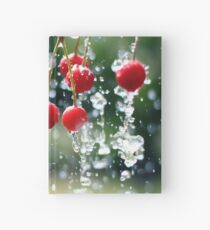 Kirschen Wassertropfen zeitlos das bild Hardcover Journal