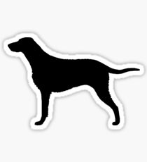 Curly Coated Retriever (Black) Sticker