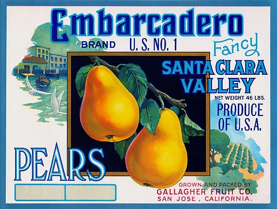 San Jose Bee-N Bee Apple Fruit Crate Label Art Print