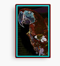 Parrot Head Canvas Print