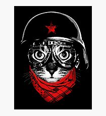 Pilot Cat Photographic Print