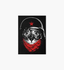 Pilot Cat Art Board