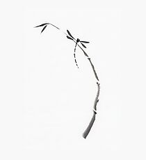 Dragonfly sitting on bamboo stalk Japanese Zen Sumi-e painting on white rice paper art print Photographic Print