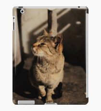 Mia the cat II iPad-Hülle & Skin