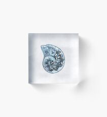 © Ammonite Fossil Acrylic Block