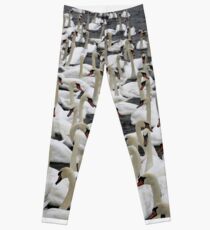 Massierte Hälse Leggings