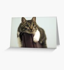 Tommy 5 Greeting Card