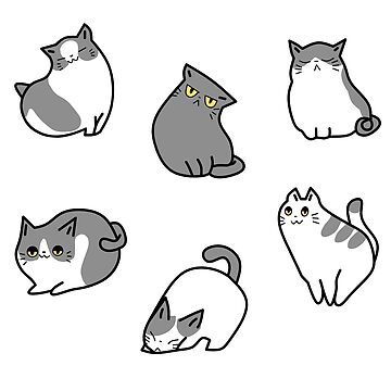 Funny Cats Packs Sticker for Sale by Axel Christian