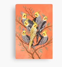 Cockatiel Fun Canvas Print